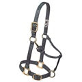 Licol Adjustable Chin and Throat Snap
