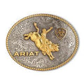 Boucle ceinture ariat