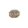Boucle ceinture ariat
