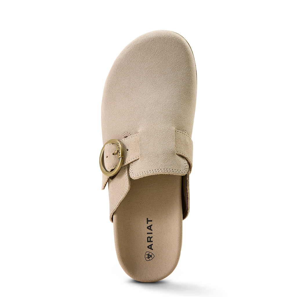 Ariat Mule Femme – Cley Suede